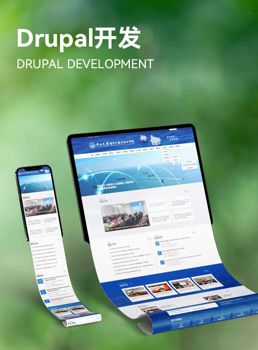 Drupal定制开发
