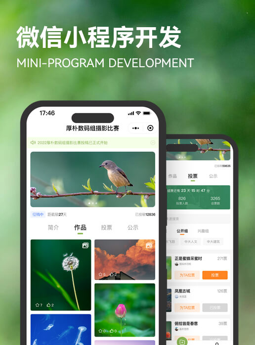 微信小程序开发